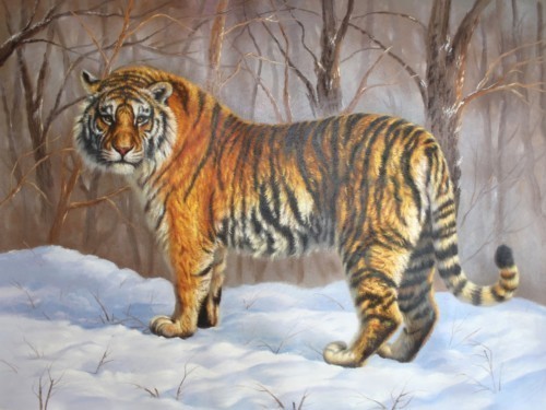 Тигр в зимнем лесу 16