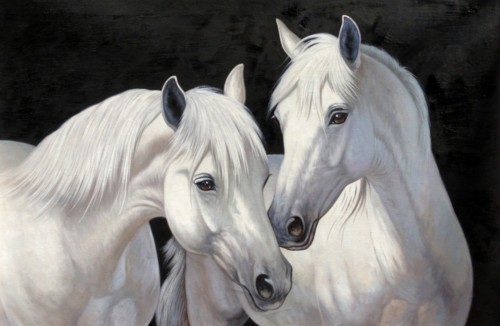 Белые лошади 19