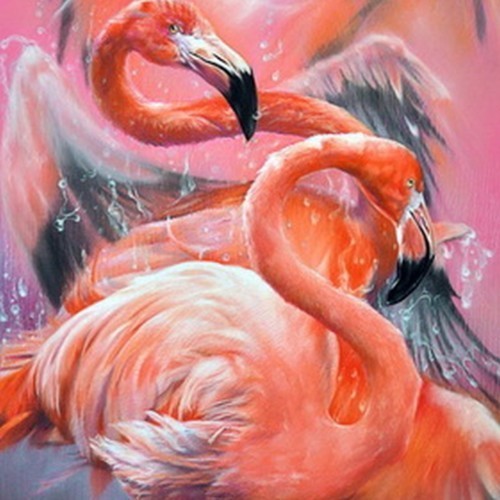 Танец розовых фламинго 20