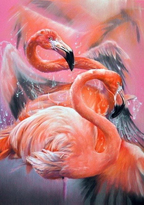 Танец розовых фламинго 20
