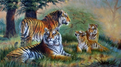 Тигриная семья 31