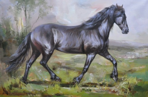 Черный конь 44