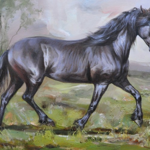 Черный конь 44