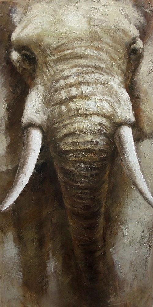 Бивни слона 144