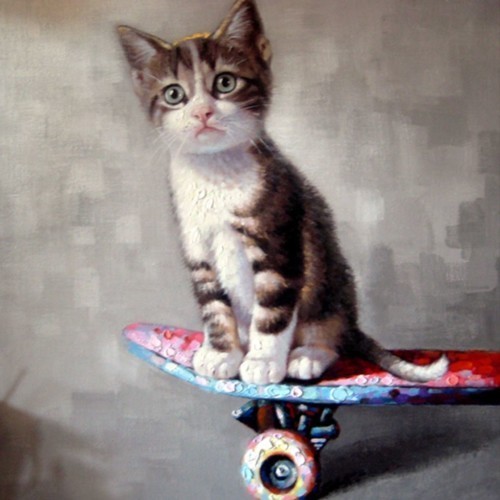 Котенок на скейте 604